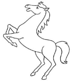 属马的偏财数字吉凶如何，手机尾号哪个数字最吉利？