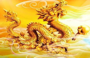 属龙的人今年哪个月财运最旺？金属龙又是什么含义？