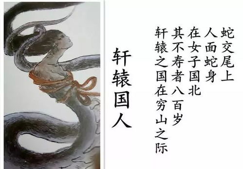 海中金之格局及其与天干地支的对应关系