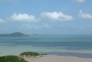 薅羊毛玄学指南