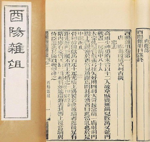 序言：唐代和亲制度的制度性特征与阳安公主的身份认定