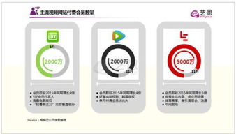 三、 会员制度与付费内容的长效机制