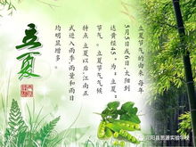 夏至（约6月22日前后）
