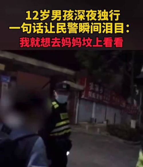 较深夜误入名人墓地之现象的更——以生肖星座与风水学视角的系统性探究报告