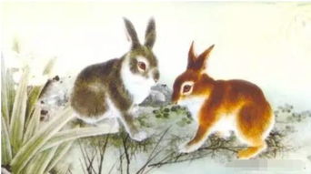 属兔戴什么能旺感情？狐狸饰品适合属兔的人吗？