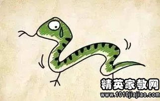 ：成语的较深邃意蕴与文化底蕴内涵