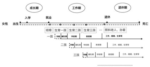 系统论视角下的信息整合