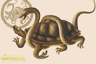 ：传统居住美学中的空间符号学