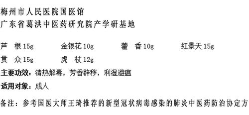 核心范式剖析：“辨证论治”与“砂水格局”之同构映射机制
