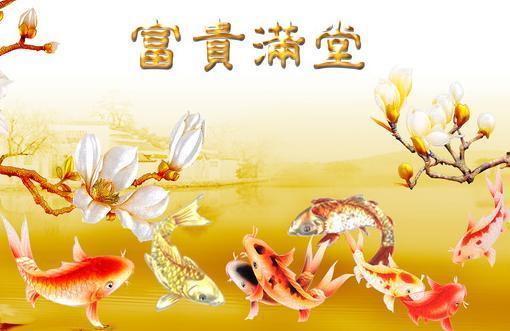 一、 探究背景与目的