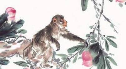 2026年属猴的人事业运势如何？运势及运程分析是怎样的？