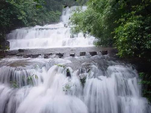 景区服务：花钱找罪受