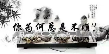 改八字真的能改变三毛的命运吗？