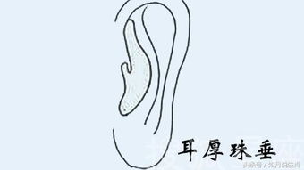 ：面相学视角下的耳垂与命运关联