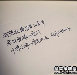 基于生肖特质的温暖话语策略