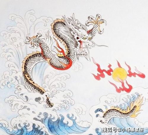 龙（属龙）