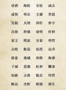 这个词语的文化底蕴如何？