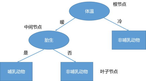 第二步：借助风水智慧——寻求专业指导以臻完善