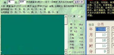 第一章：生肖符号学与个性网名的语义构建