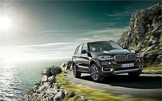 第二章：从经济学视角对购车行为的本质界定