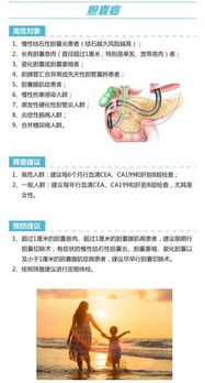 六、 结论与实践提议（基于综合命理诊断）