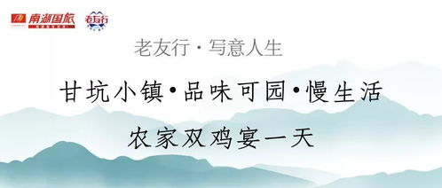 巡回断案，  服务游客