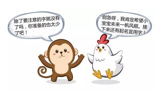 鸡宝宝起名注意事项