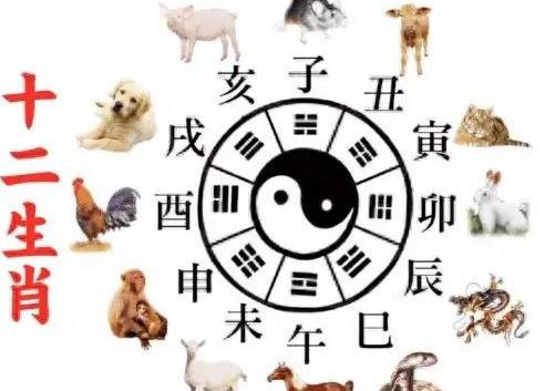 今日生肖运势具体如何？