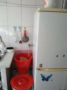 家里购买水桶风水适宜吗？需要考虑哪些因素？