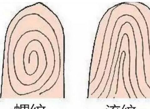 五、 知觉敏锐：感应先机与通晓微妙