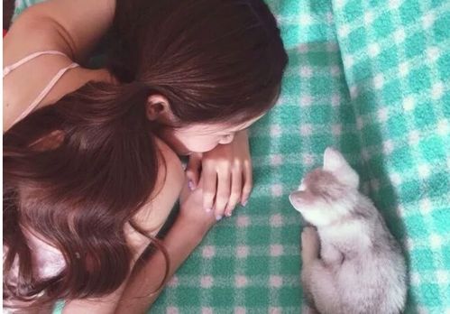 小女孩八字算命真的准确吗？缘吉阁庞泽川的八字预测准吗？