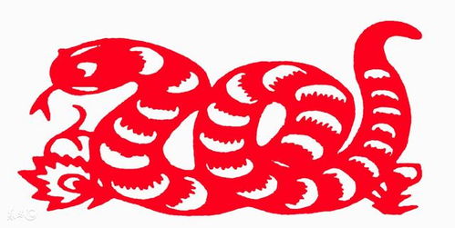 一、年龄与命运转折：为何四十岁之后更简单实现飞黄腾达？