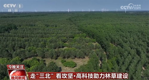防风固沙与调和五行平衡理论