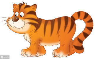 1974年属虎人住宅附近有水域是否有利于风水？