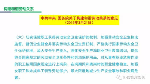 当代实践与案例分析