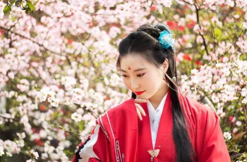 河南文旅局的汉服新招