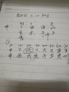 2020年庚午年癸未月壬寅日庚戌时的男性，会遭遇哪些意外情况？