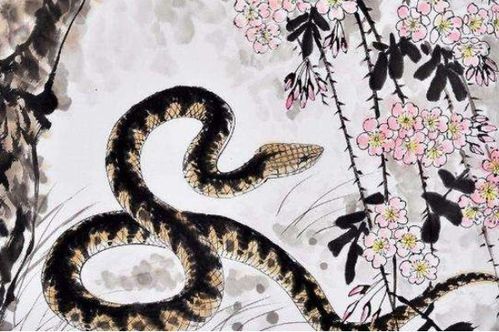 2026年属蛇的人为何身边总是有小人？招财图片有何寓意？