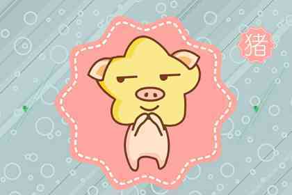 1971年属猪人在2026年全年运势如何？