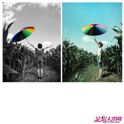 这张照片的名字有什么深意？能否解释一下背后的故事？