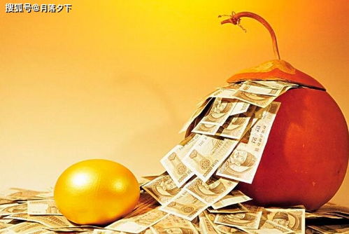 ：财库观念在传统命理学中的本体论地位及其运作机制