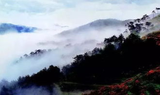 华顶国家森林公园适合自虐狂