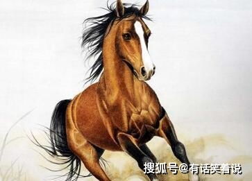 属马人二月份横财运如何，马的招财转运物品具体指什么？