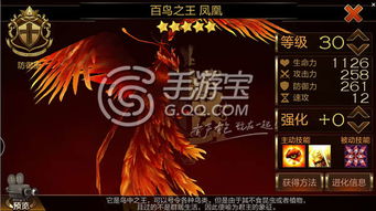 百鸟之王凤凰，究竟谁是真正的长尾王者？