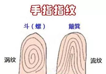 性格特质与生活方式：内在力量的源泉