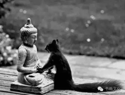 实例汇编——兼具禅意与福缘之网名大全（150余例）