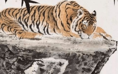 如何化解蛇猪虎三个生肖在一起时的婚姻和运气问题？