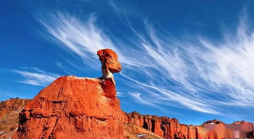 四、必备“乱套”装备清单（别真的全带）