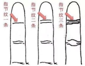 手掌较宽厚且具弹性者之财富有倾向