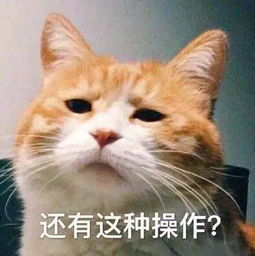 二、 时间段节点与十二生肖对应关系